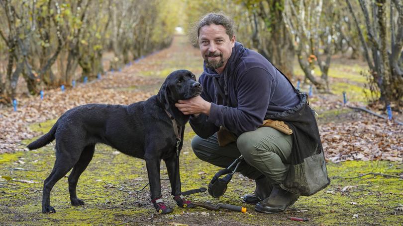 Truffle Hunt Tours Sunday 26th June 2022